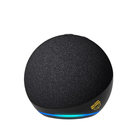 Alexa Echo